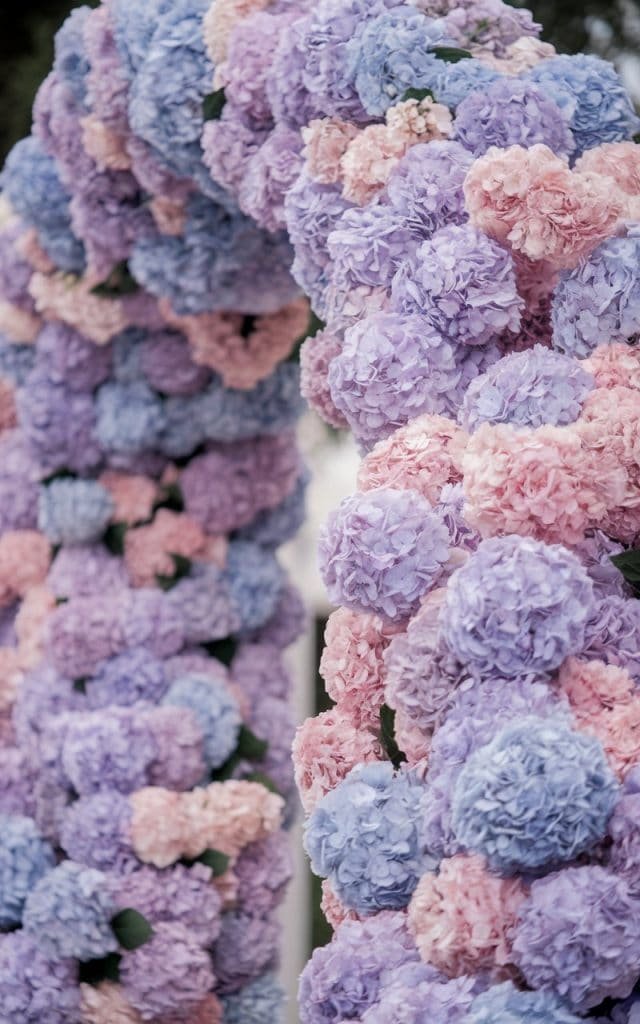 Lush hydrangea Wedding Arch Flowers in shades of pink and blue, perfect for an opulent and soft wedding ceremony.
